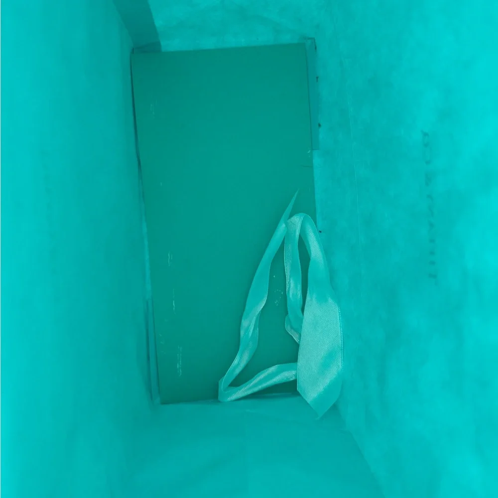 Tiffany Paper Bag 10x8